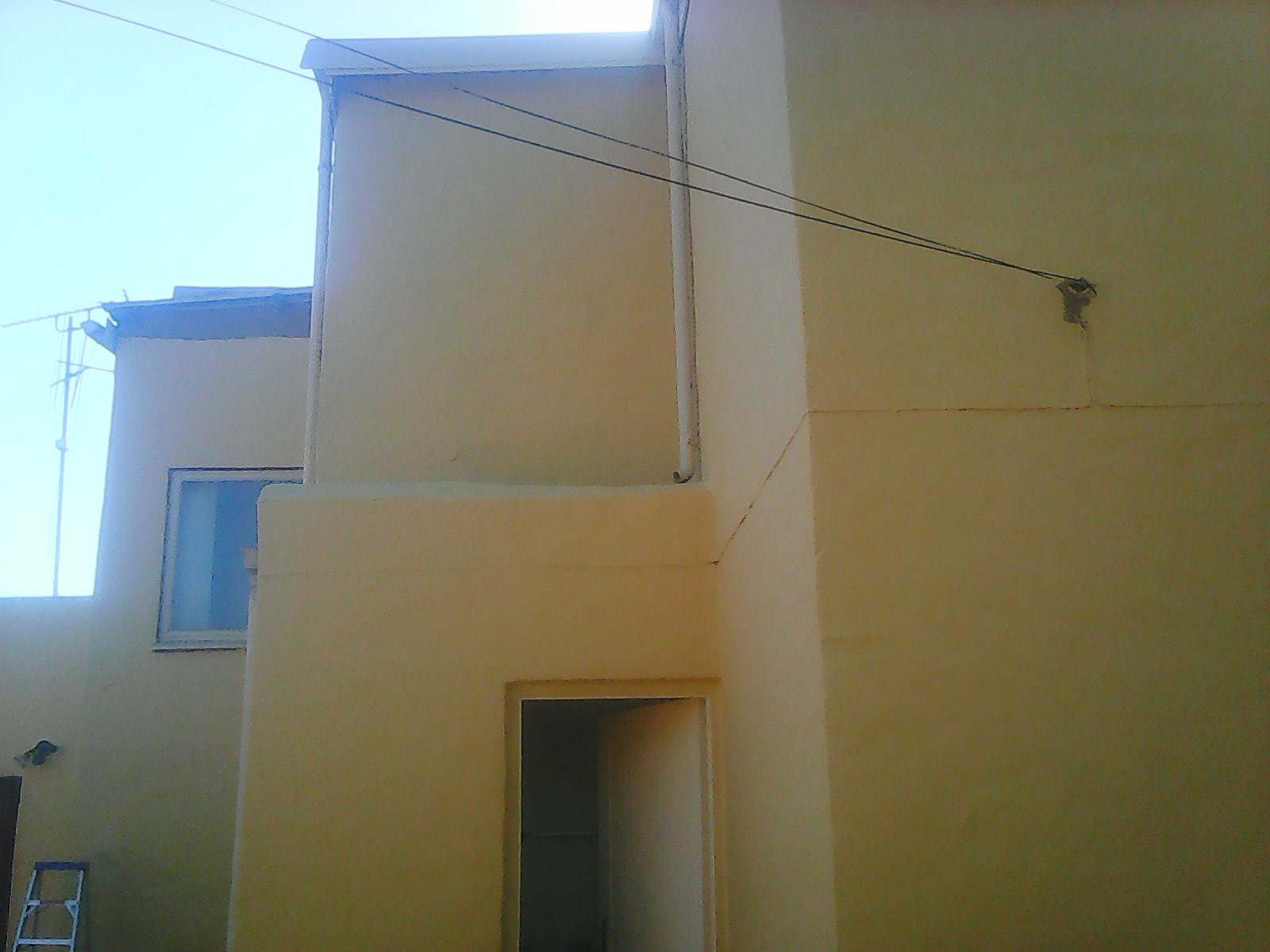 Painting Services