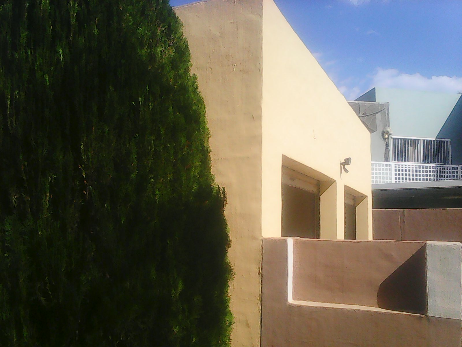 Painting Services